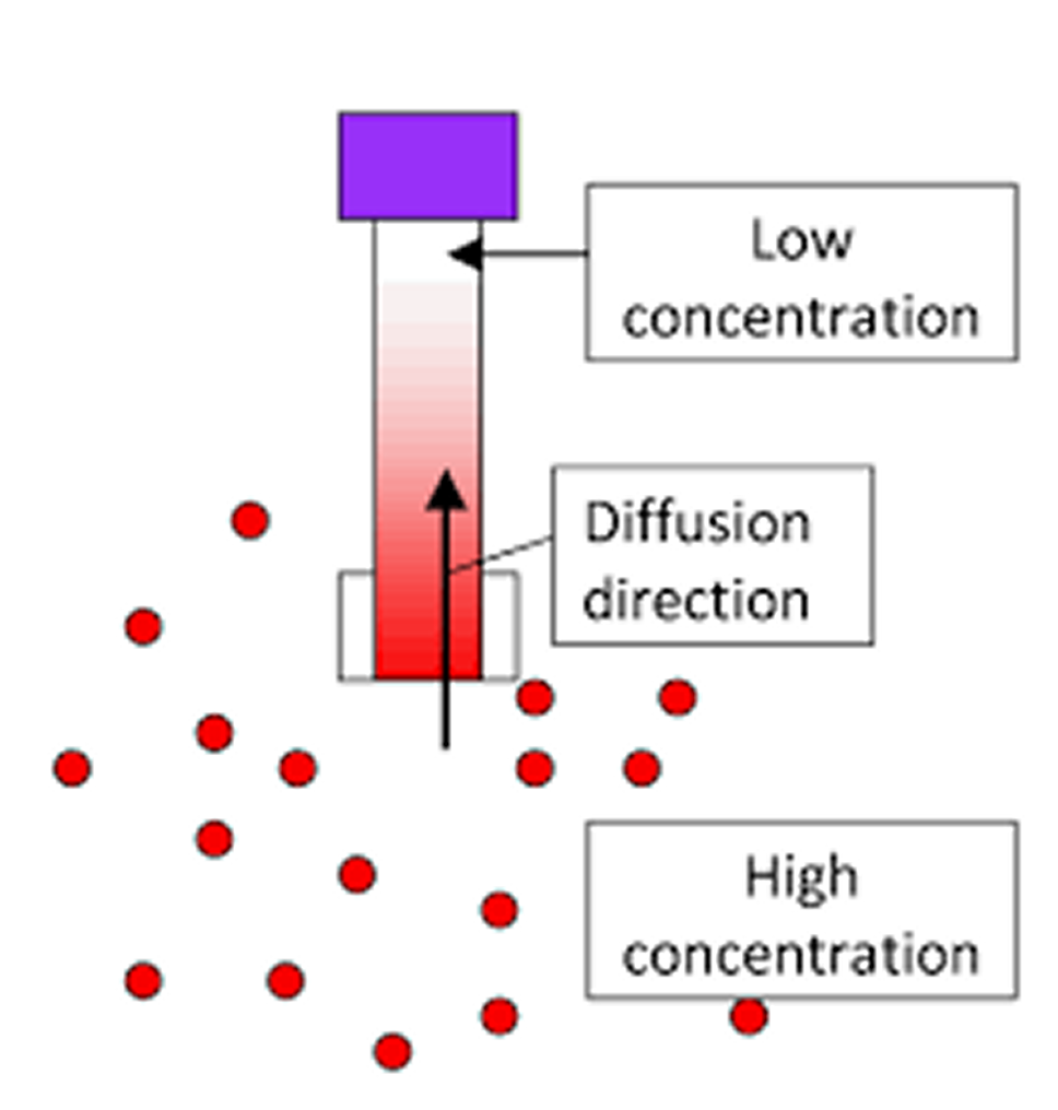 Afbeelding van de meetbuisjes